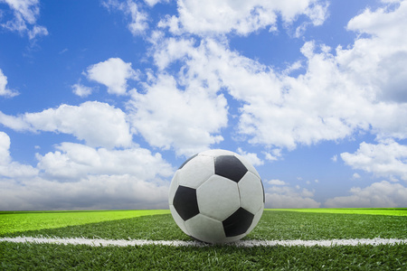 彩客网竞彩完整版应用界面展示