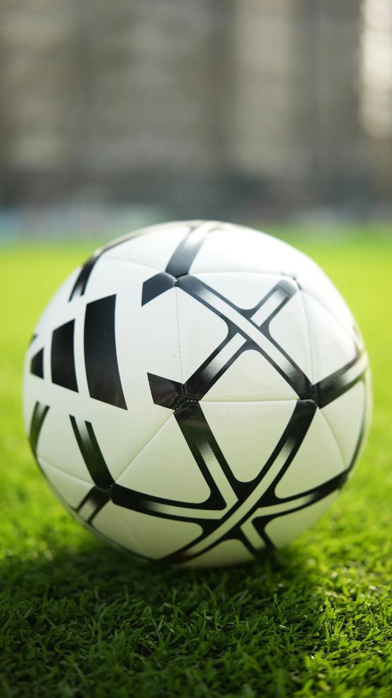 资深球迷深度分析场景